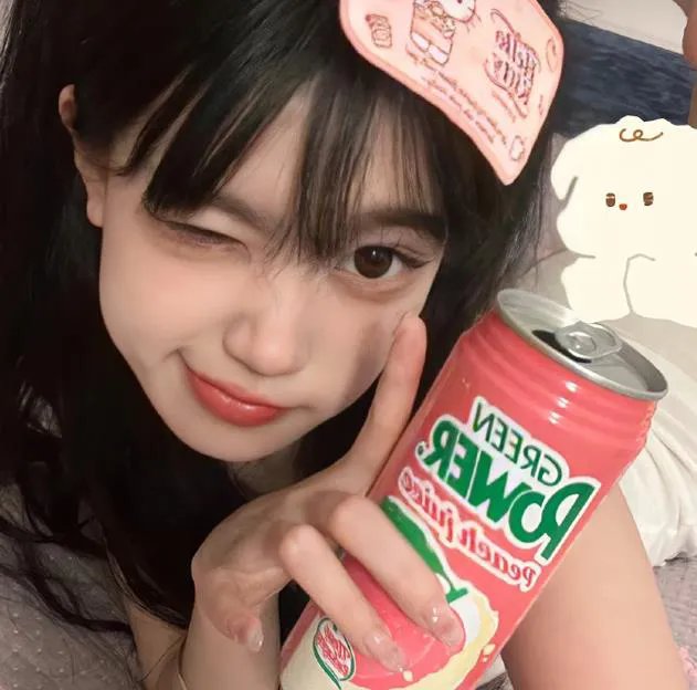 泰迪熊